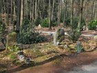 Bosbegraafplaats Witteveen met verschillende grafstenen, lantaarns en planten